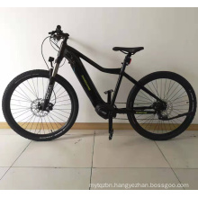 2017 New Coming Cheap 27.5er 350W 48V Motor MID Drive Electric Bike